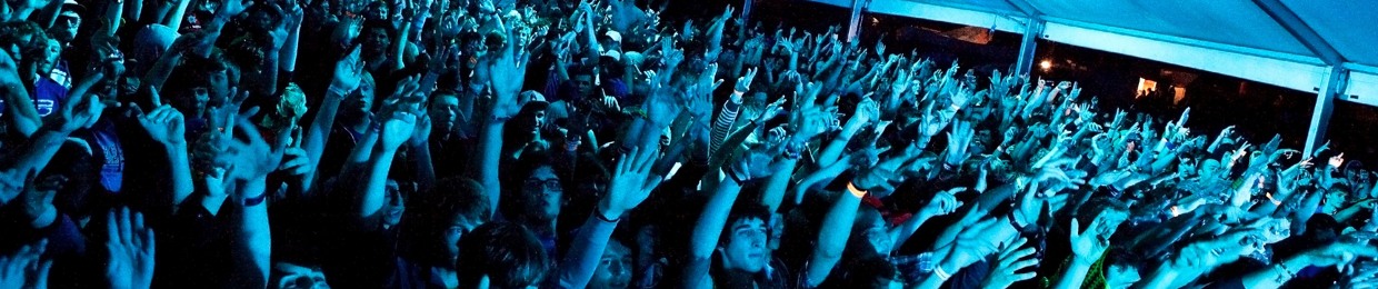 Reign Of Pomeranian Pain