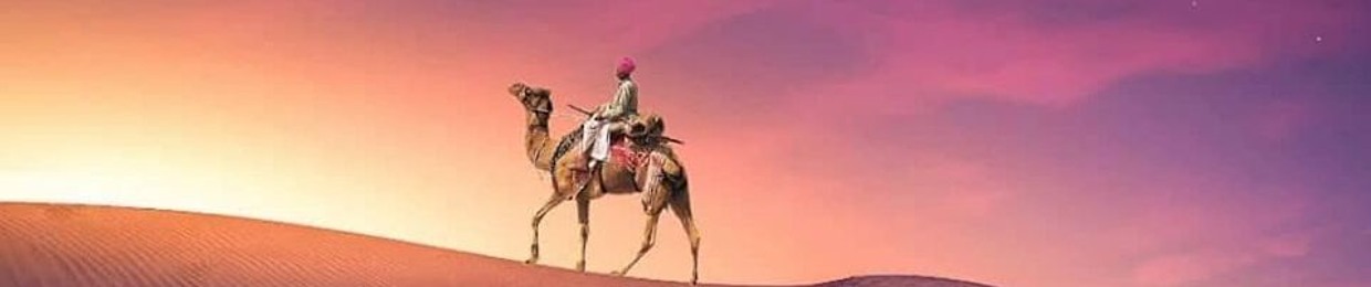 mohamed al gammal