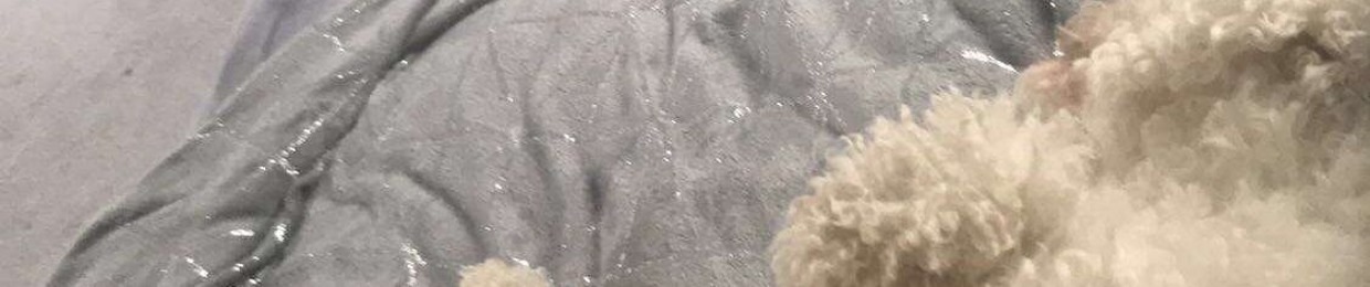 Elysia lois Thomas ;)