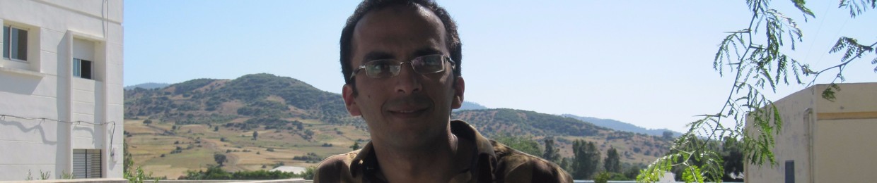 Ahmed Y. Roshdy