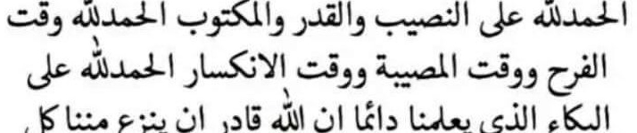 Nourhan Mohammed 8