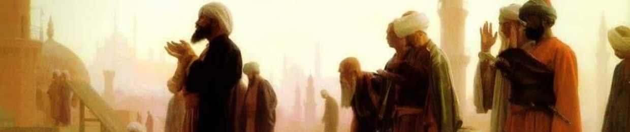 Mohamed Abd Elzaher 6