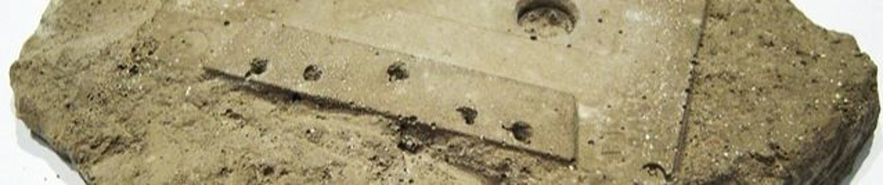 The Elasticated Fossils