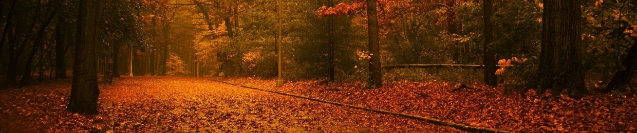 Anthropos ~ أحمد فتحي