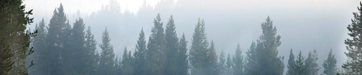 (LumberJackDann)
