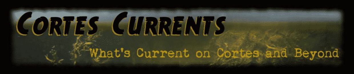 Cortes Currents  (https://cortescurrents.ca/)