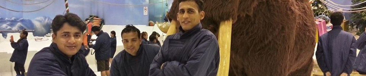S M Ali Shah