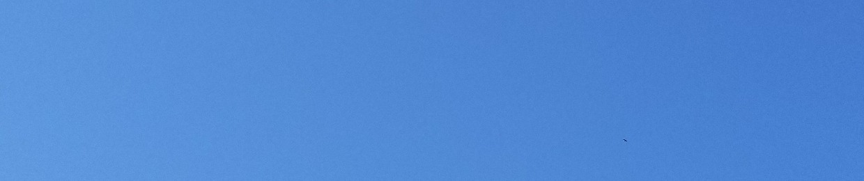 Pixels_and_Polygons