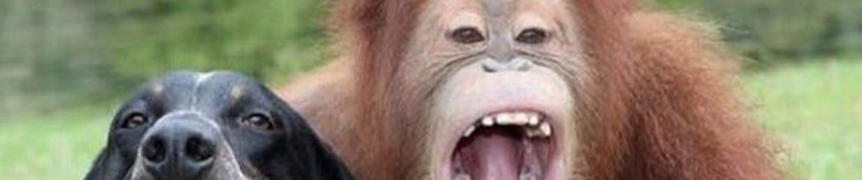 Mr.Utan