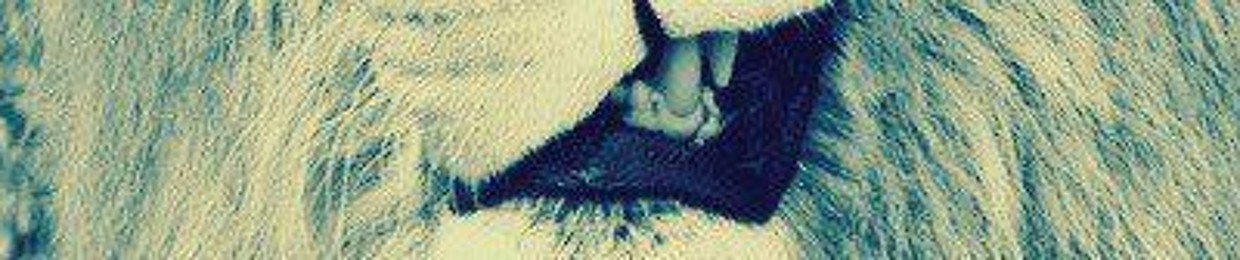 Rana Rany