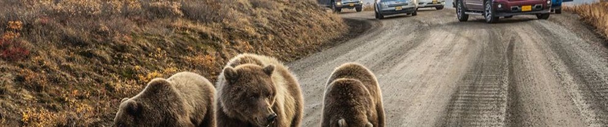 Hossam Hassan Soliman