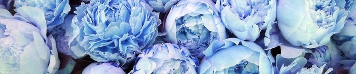 __sallyy