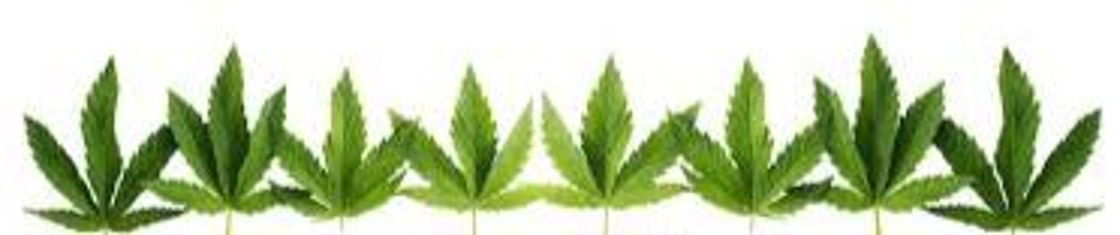 JRannabis