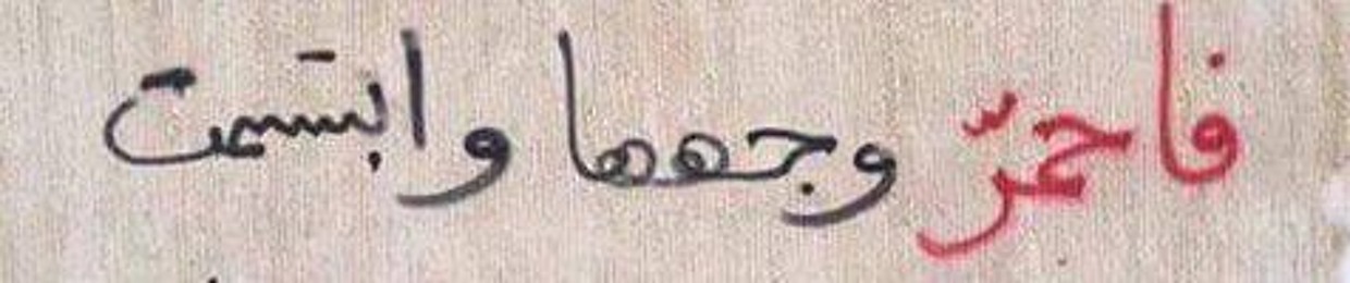 Omaima Diaa