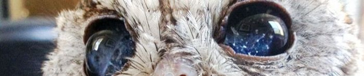 Stouf