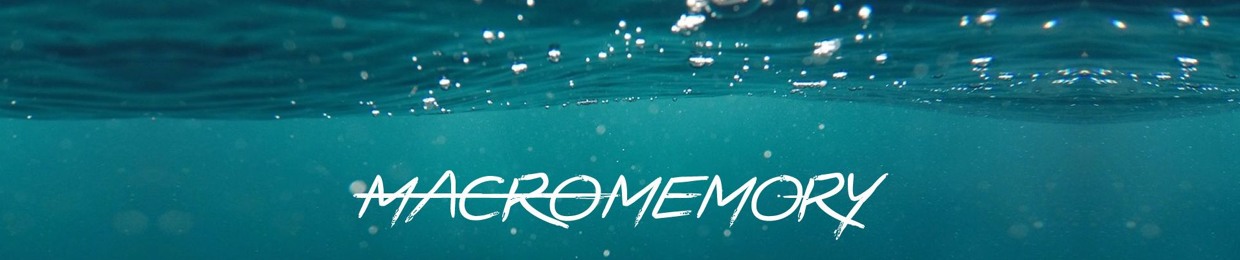 MACROMEMORY