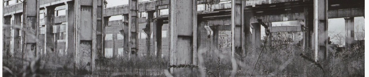 Analogic Density Records
