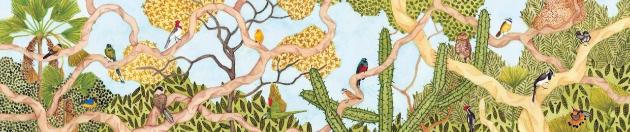 Passarinhos do Cerrado