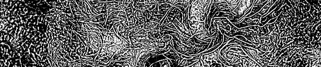 st.chaos