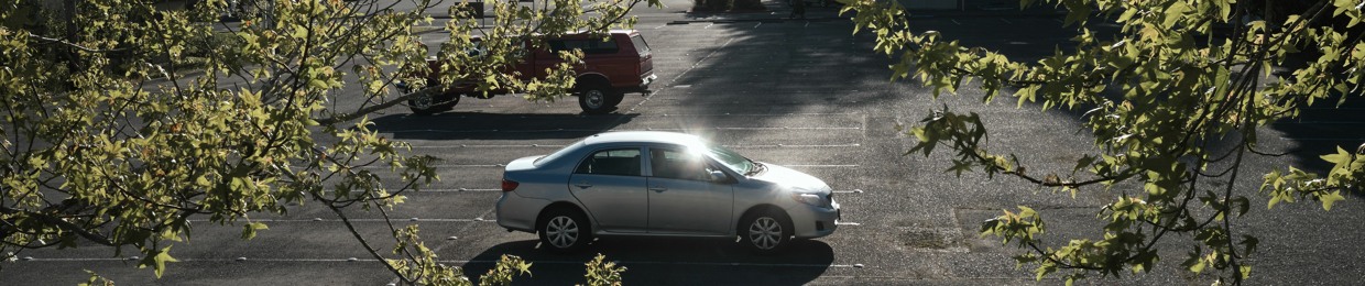 Roadrunner7822