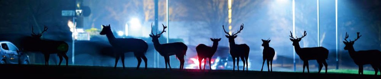 Cédric Vandenbossche