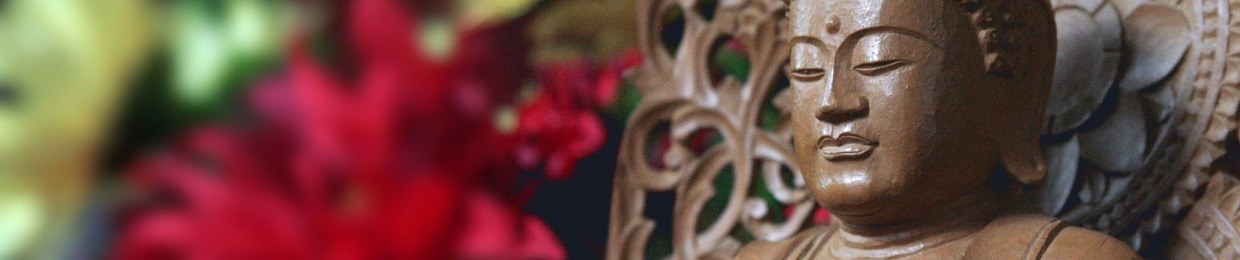 Culadasa, Dr. John Yates