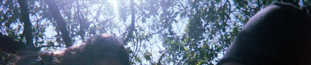 Raven Twilling