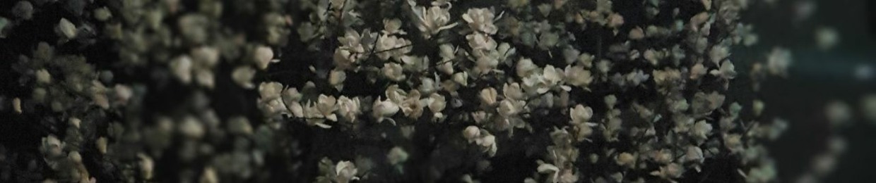 Grew(Bohemmer) 선종현