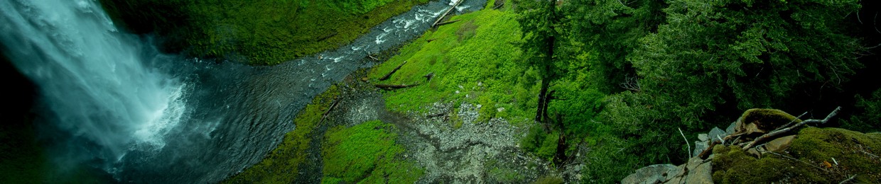 Nature Song