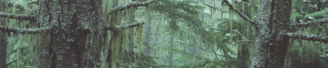 coldvermonter