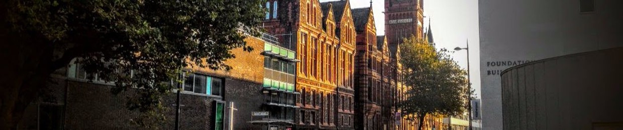 AmiPal: Palliative Care