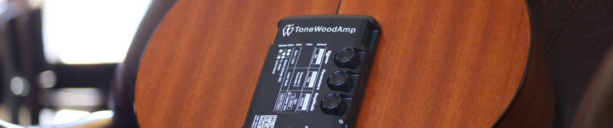 ToneWoodAmp