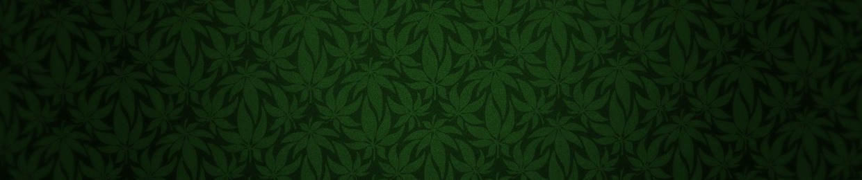 Pando