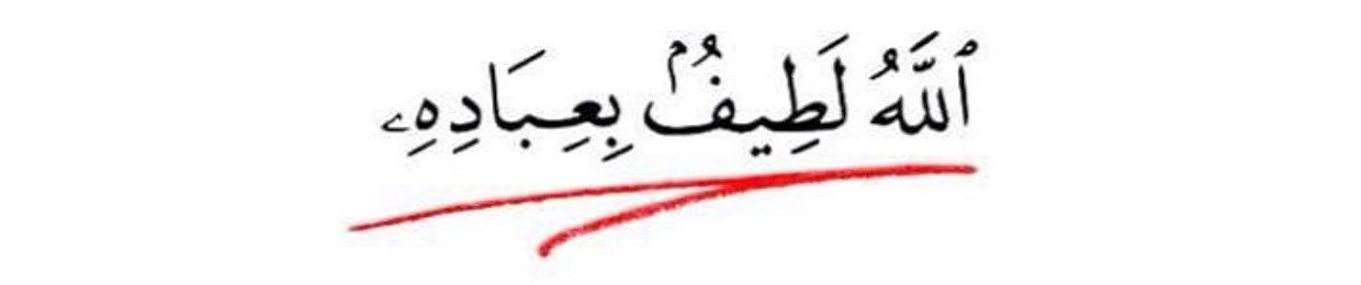 Sayed Sourour