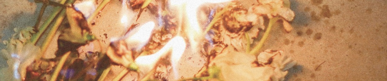 FIRE ARROW(Japan)