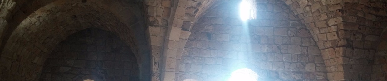 Lara Chahoud