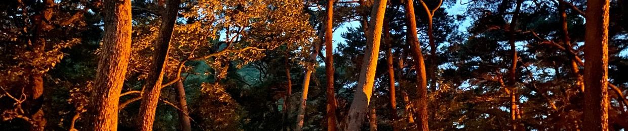 Jo.Light