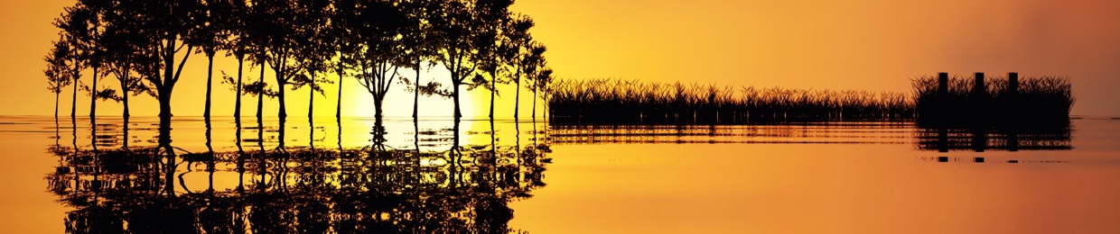 Amphonix Blue - Amphonix Music