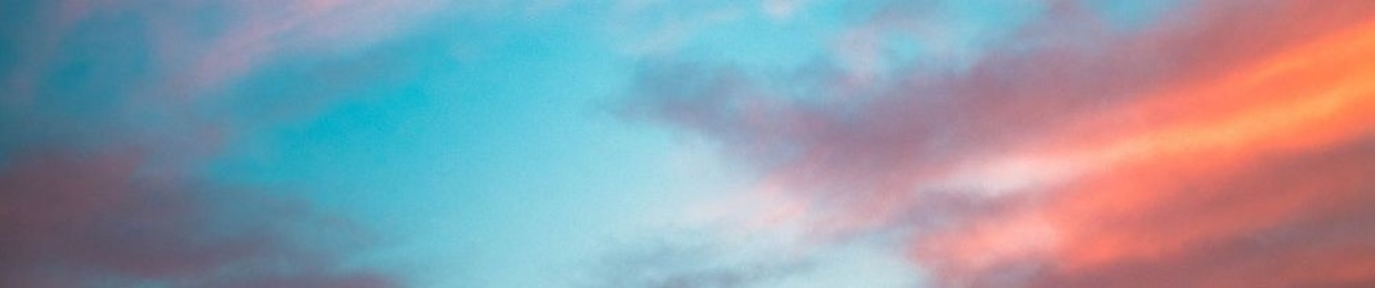 welcome to the disco