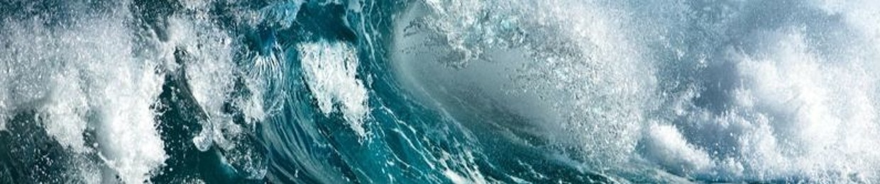 collctve][asthemselves