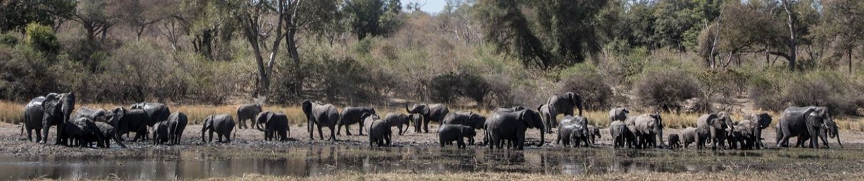 IntoTheOkavango