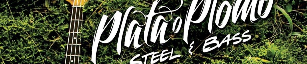 Plata o Plomo / Steel & Bass