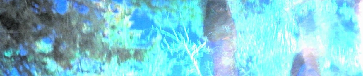 Cetus