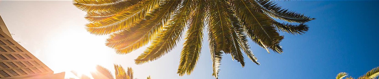 Travel MBA - Freedom Business Podcast