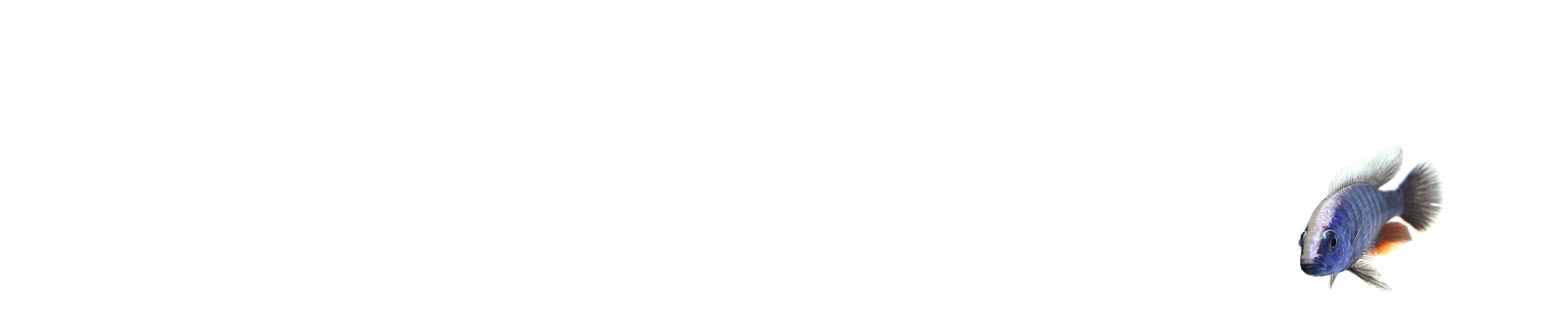 Rumore del mare free download Rumore del mare free download