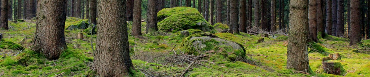 Soicrat