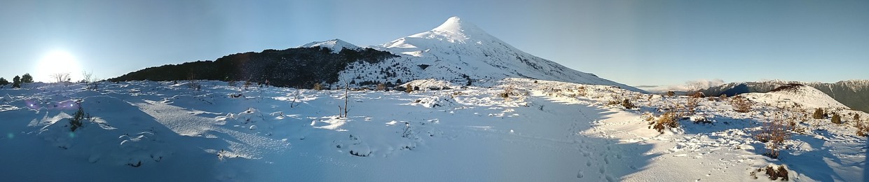 Gerardo Lillo Astorga