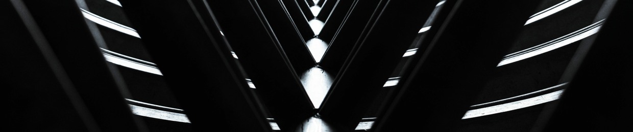 DS