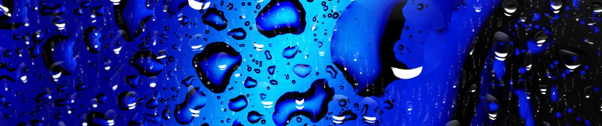 Blend Bold