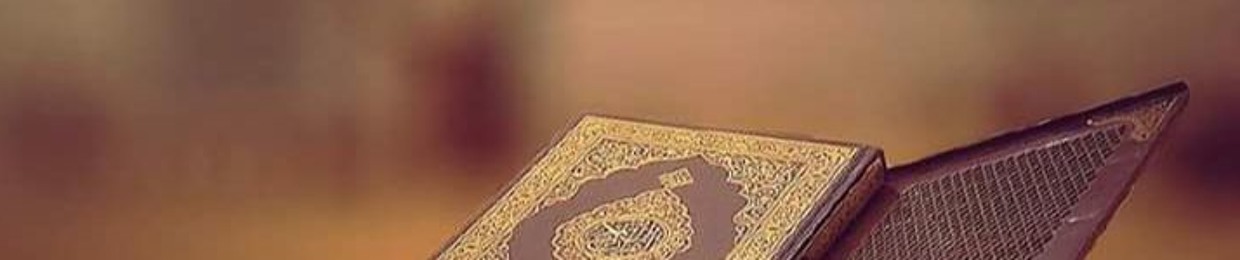 عبدالرحمن مصطفى